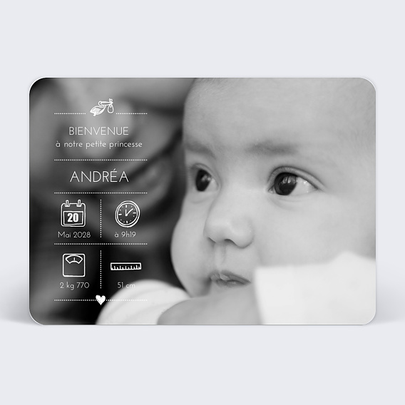 Faire part naissance Picto cigogne Après 1