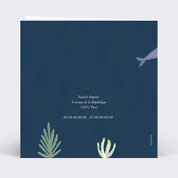 Faire-part Naissance Etoiles de Mer