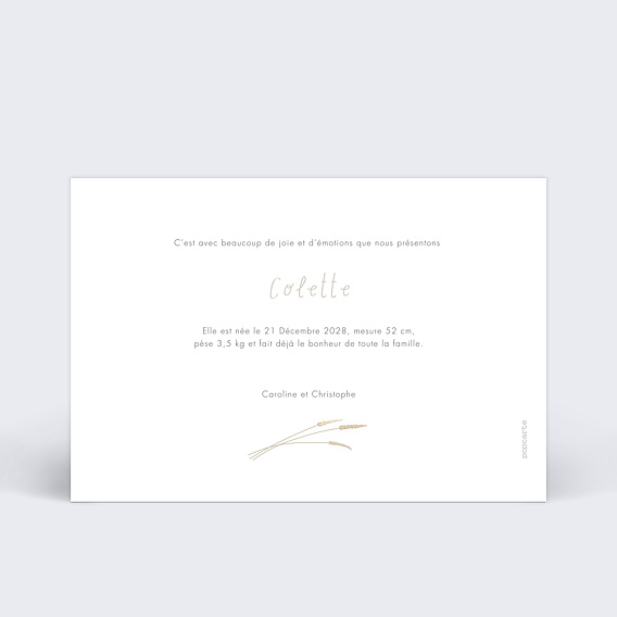 Faire part naissance Corde à Linge & Cœurs Verso
