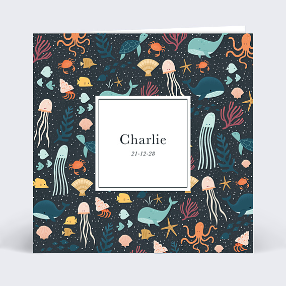 Faire-part Naissance Multi Etoiles de Mer