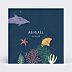 Faire-part Naissance Etoiles de Mer