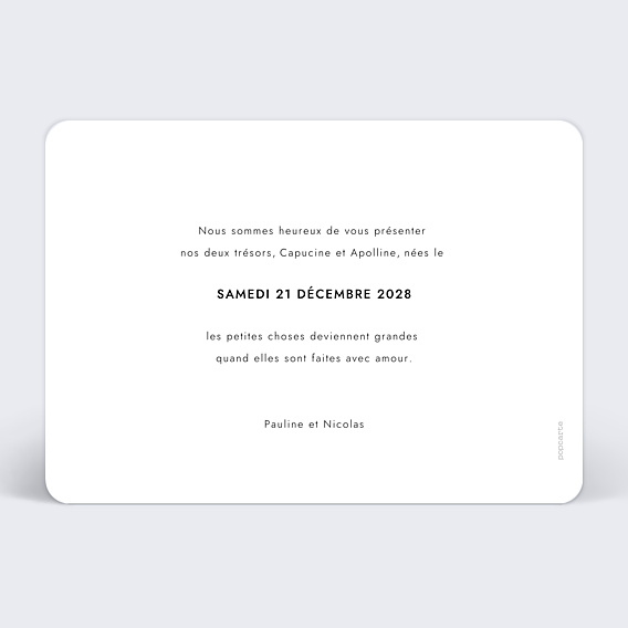 Faire-part Naissance Carte naissance jumeaux