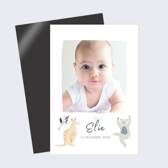 Faire part naissance Wild animals Recto