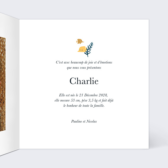Faire-part Naissance Multi Etoiles de Mer
