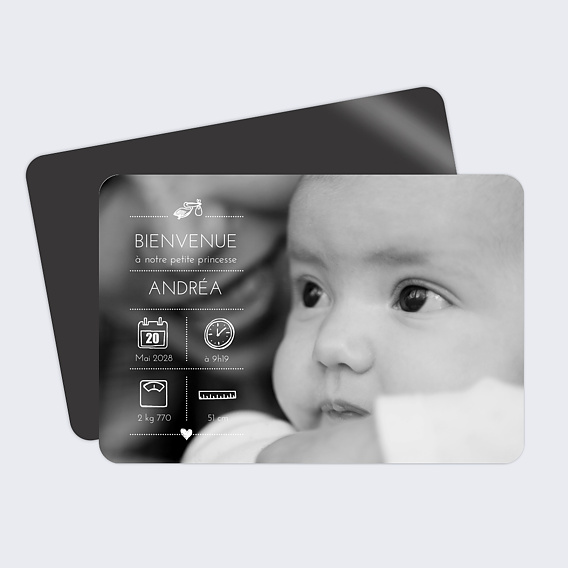 Faire part naissance Picto cigogne