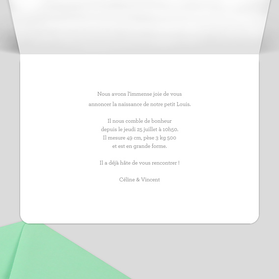 Faire part naissance Garçon Paysage Intérieur Droit