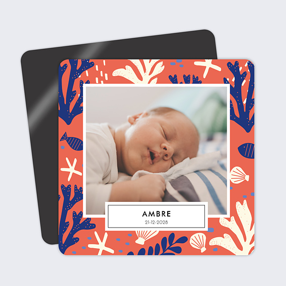 Faire part naissance Conte d'Été