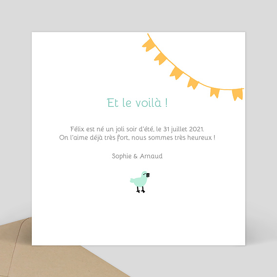 Faire part naissance Picto Photo Verso