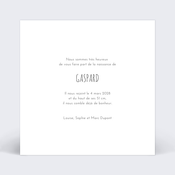 Faire part naissance Simplicité Verso