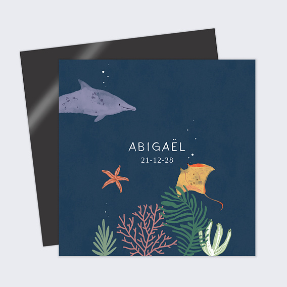 Faire part naissance Etoiles de Mer