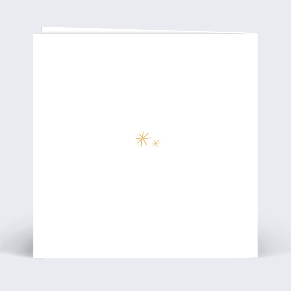 Carte de Noël Souhait pailleté