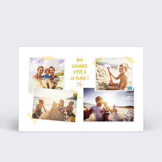 Carte Postale Etoile de mer