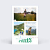 Carte postale Alpes