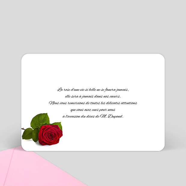 Rose rouge Verso