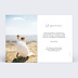 Carte remerciement mariage Classique Multiphotos Verso