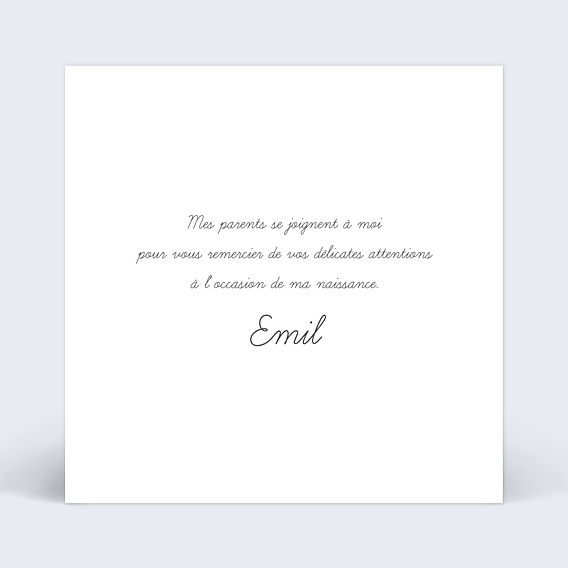 Remerciements Toutes Occasions Simplicité