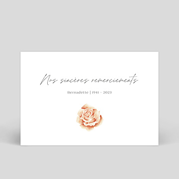Carte remerciement décès Rose Rouge