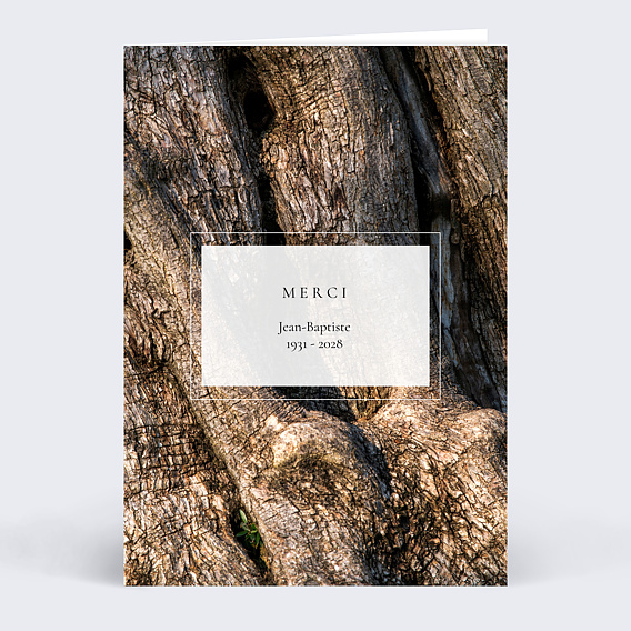 Carte remerciement décès Tronc d'Arbre Recto