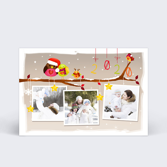 Carte de Voeux Particuliers Carte de bonne année