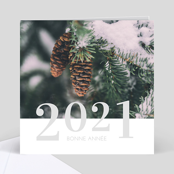 Carte de Voeux Entreprise Carte de voeux nature