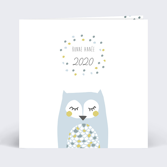Carte de Voeux Particuliers Illustration chouette