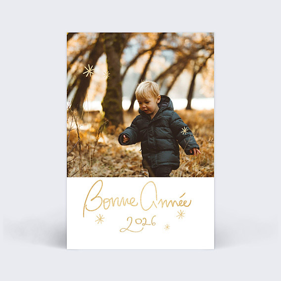 Carte de Voeux Particuliers Souhait festif