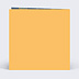Carte de voeux Carte voeux fleurs mimosa Verso