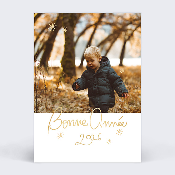 Carte de voeux Souhait festif