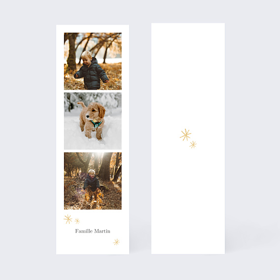 Carte de Voeux Particuliers Souhait festif