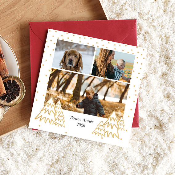 Carte de voeux Sapins Après 1