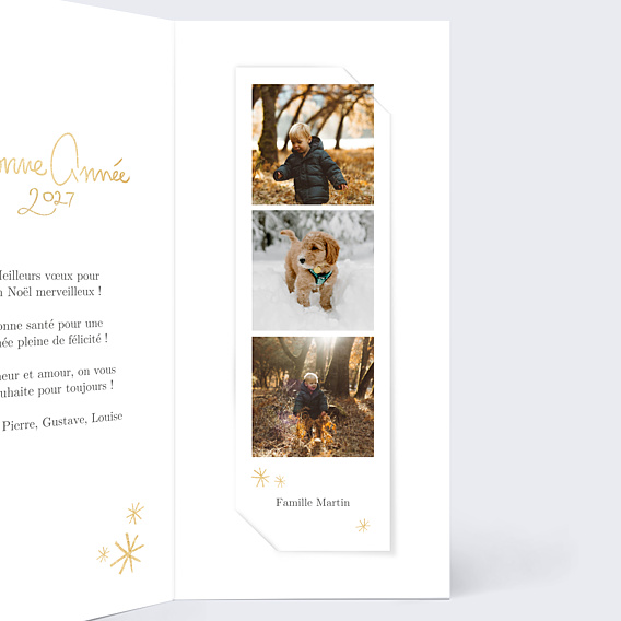 Carte de Voeux Particuliers Souhait festif