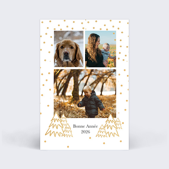 Carte de Voeux Particuliers Sapins