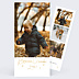 Carte de Voeux Particuliers Souhait festif