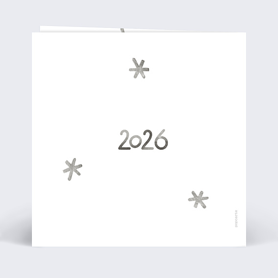 Carte de Voeux Particuliers Etoiles d'argent