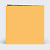 Carte de Voeux Particuliers Carte voeux fleurs mimosa