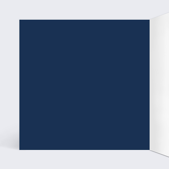 Carte de vœux entreprise Vœux Originaux Entreprise Intérieur Gauche