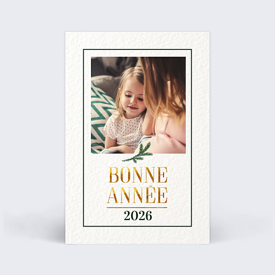 Carte de Voeux Particuliers Joli sapin