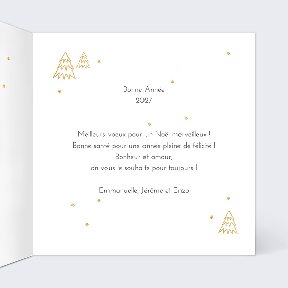 Carte de Voeux Particuliers Sapins