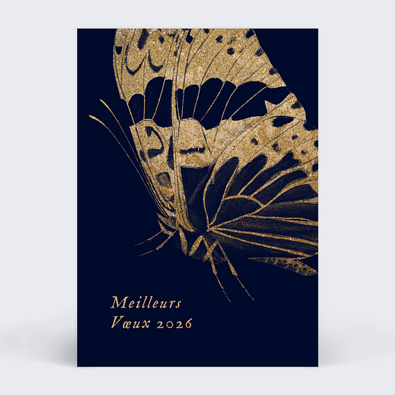 Carte de vœux entreprise carte de voeux papillon Recto