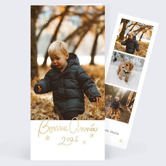 Carte de Voeux Particuliers Souhait festif