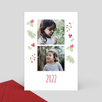 Carte de Voeux Particuliers Carte de Noël aquarelle baies