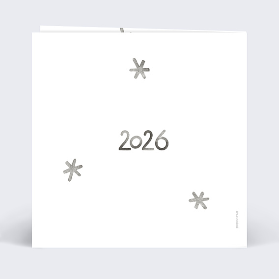 Carte de Voeux Particuliers Etoiles d'argent