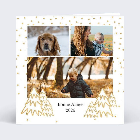 Carte de Voeux Particuliers Sapins