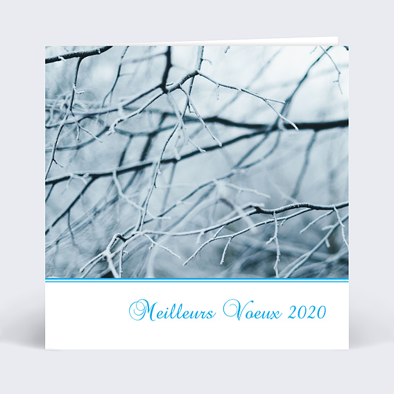 Carte de Voeux Entreprise Voeux branche bleue