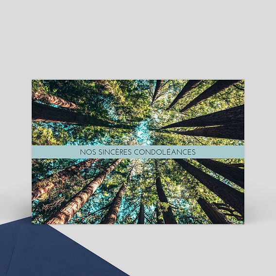 Carte de Condoléances Sobre