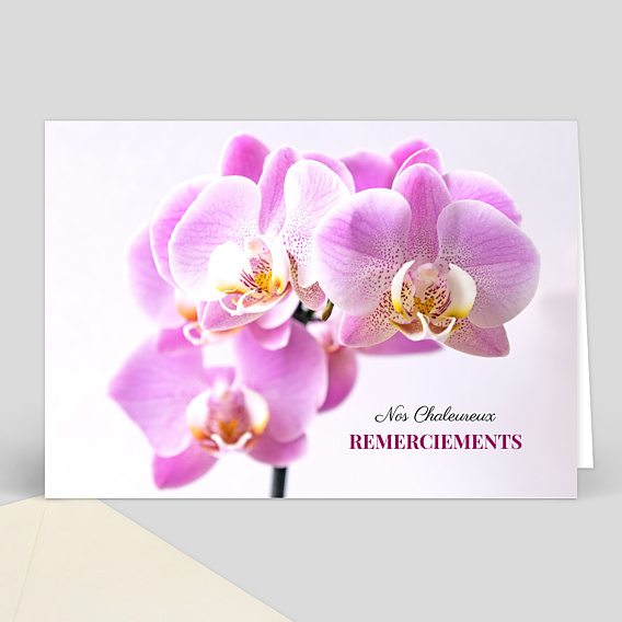 Carte Merci Condoléances Fleur Violette