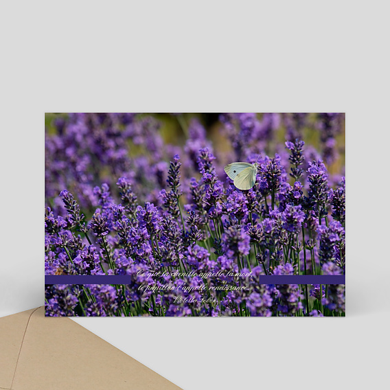 Carte de Condoléances Papillon de condoléances