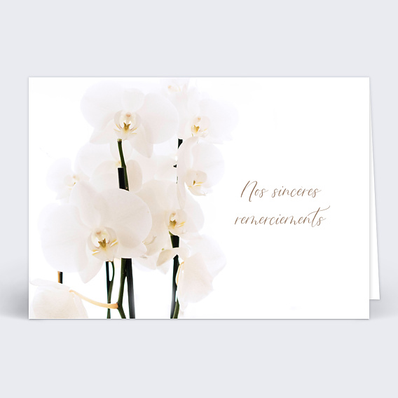 Carte de remerciements décès fleurs personnalisable