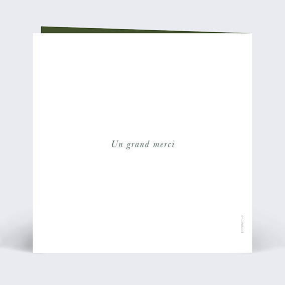 Carte remerciement décès Papillon Verso