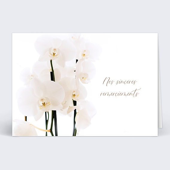Remerciements Décès Orchidée Blanche